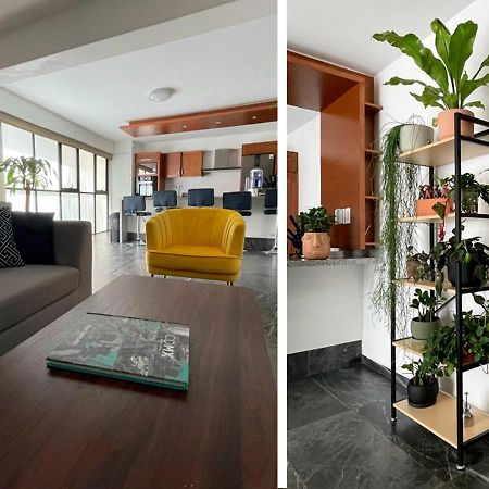 Great Apartment In The Heart Of Coyoacan 멕시코 시 외부 사진