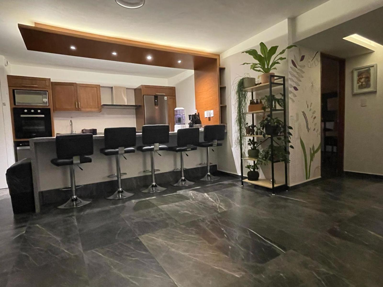 Great Apartment In The Heart Of Coyoacan 멕시코 시 외부 사진