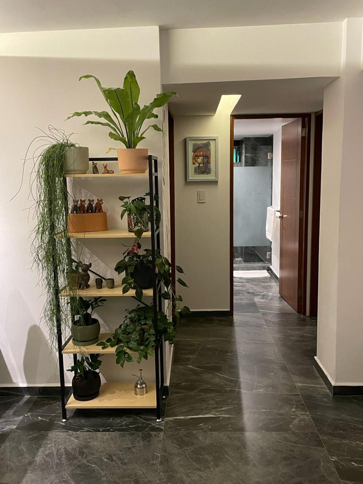 Great Apartment In The Heart Of Coyoacan 멕시코 시 외부 사진