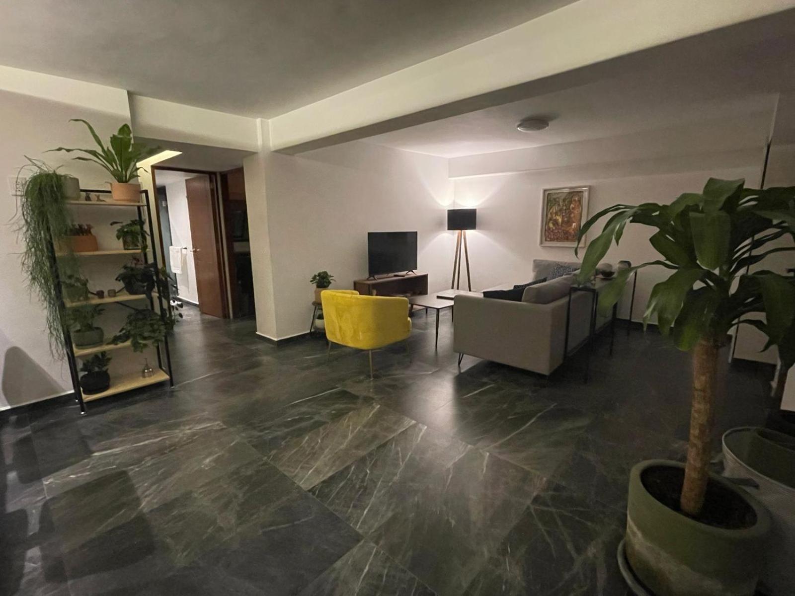 Great Apartment In The Heart Of Coyoacan 멕시코 시 외부 사진