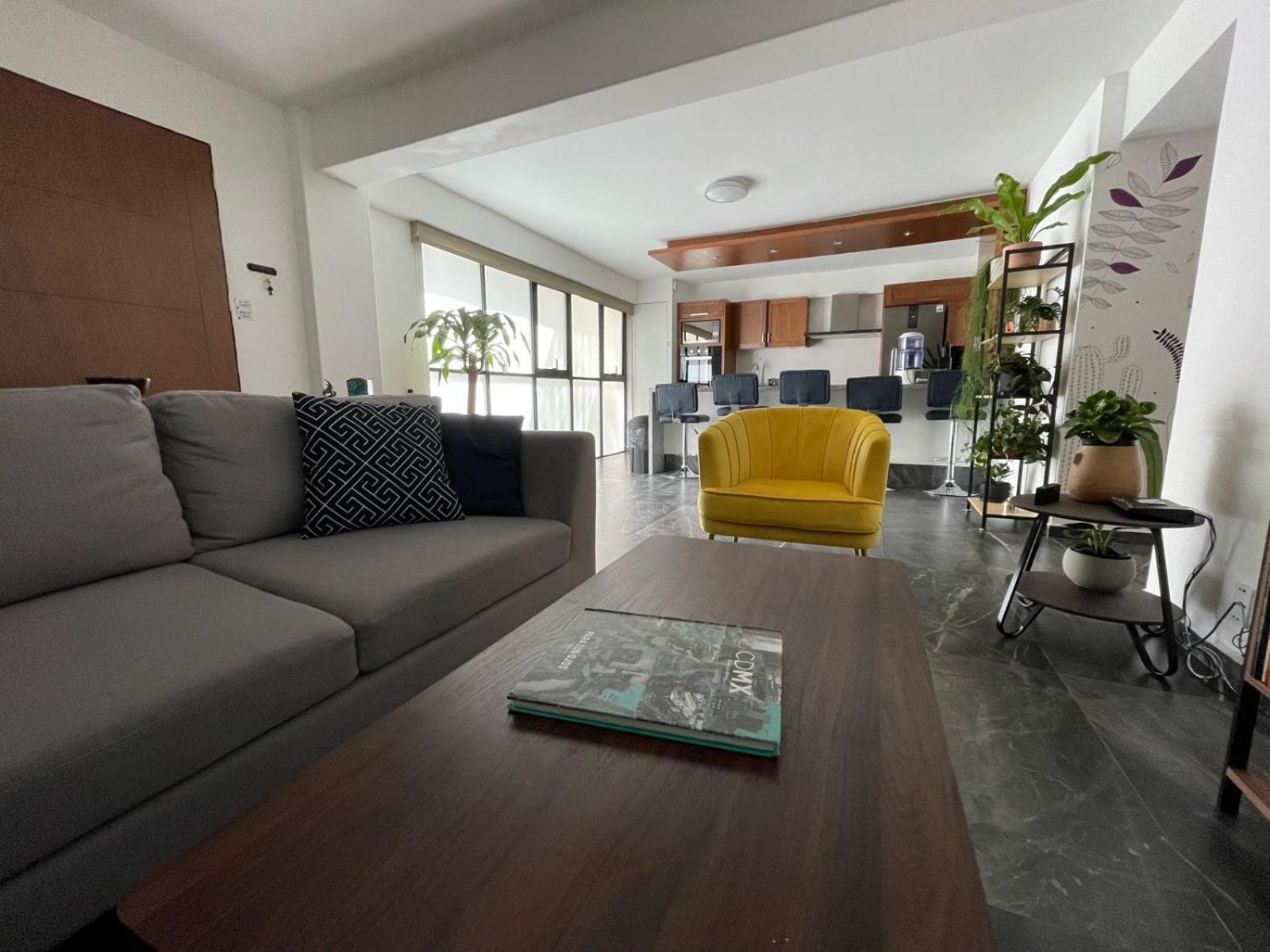 Great Apartment In The Heart Of Coyoacan 멕시코 시 외부 사진