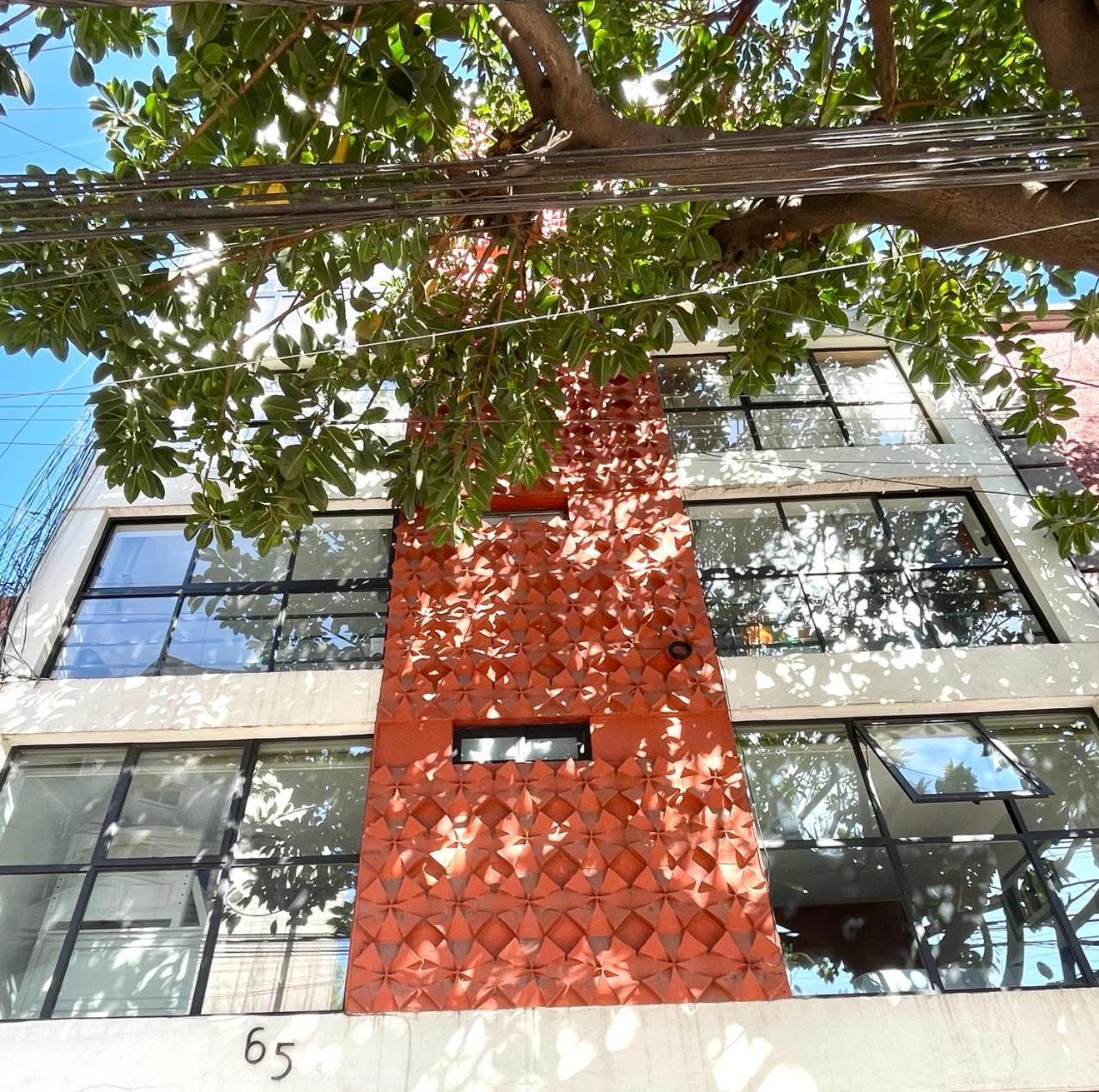 Great Apartment In The Heart Of Coyoacan 멕시코 시 외부 사진